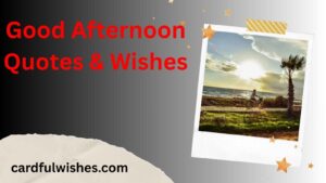 Good Afternoon Quotes & Wishes