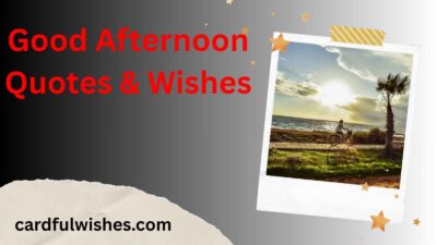 Good Afternoon Quotes & Wishes