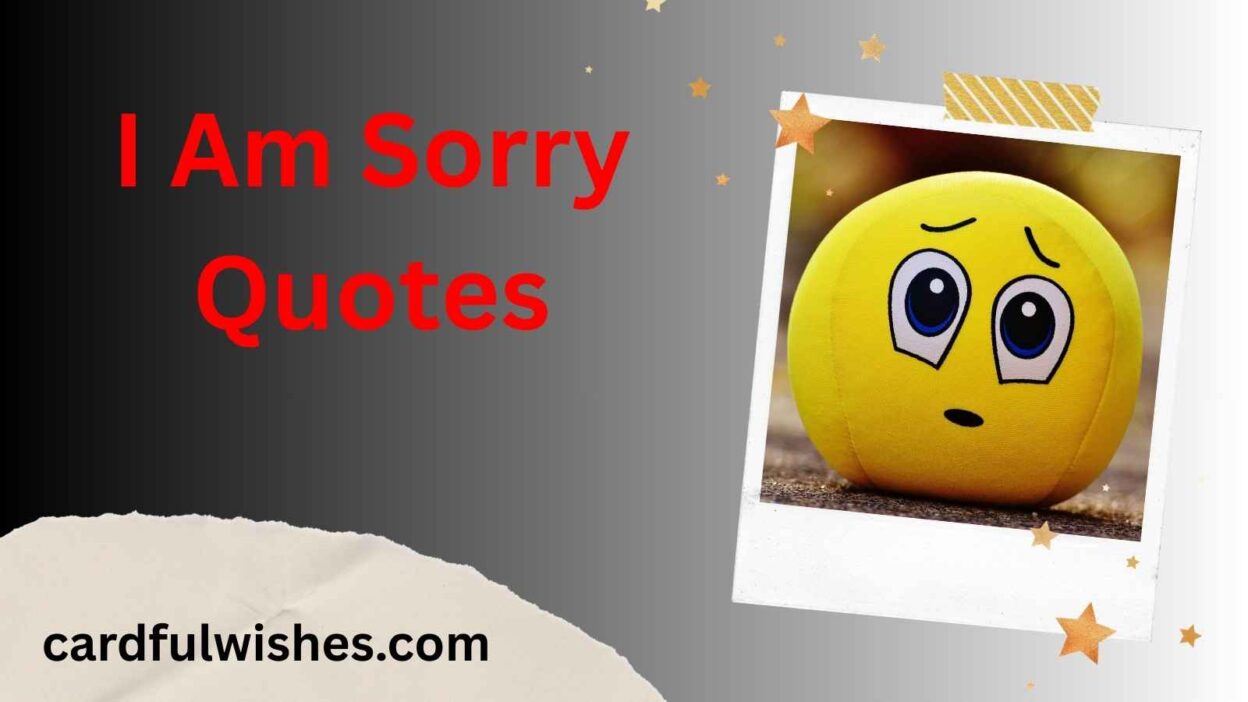 I Am Sorry Quotes